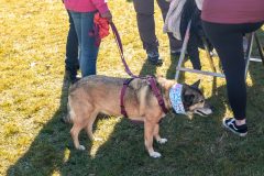 Broschtkriibslaf 2024