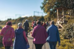 Broschtkriibslaf 2024