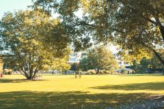 Broschtkriibslaf 2024