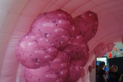 Relais-pour-la-Vie-2025-ALGSO-457